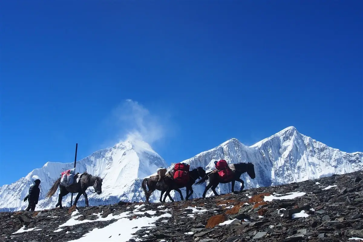 Dhaulagiri Circuit Trek from Jomsom muktinath featured image